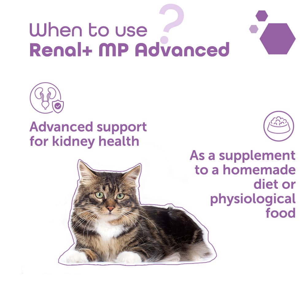 Renal+® MP Advanced