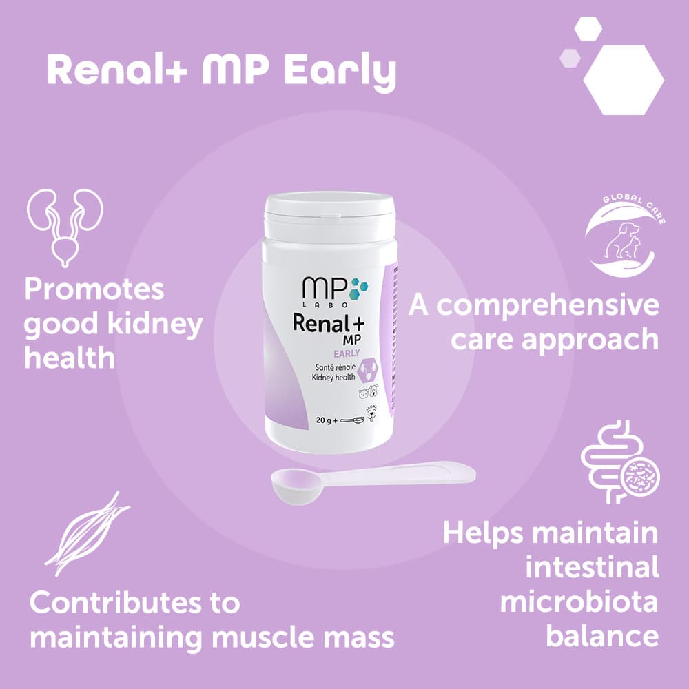 Renal+® MP Early