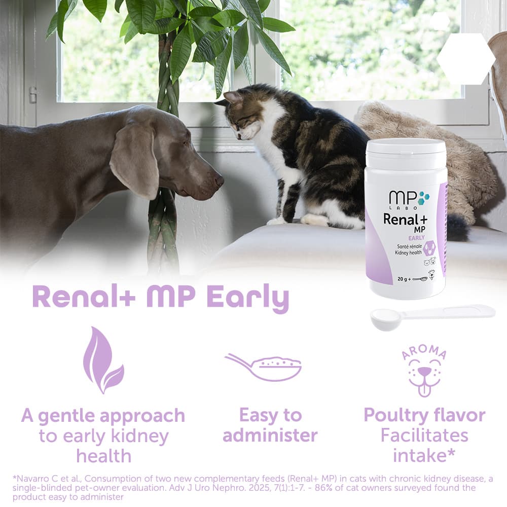 Renal+® MP Early