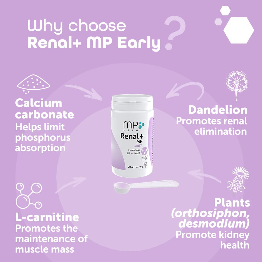 Renal+® MP Early