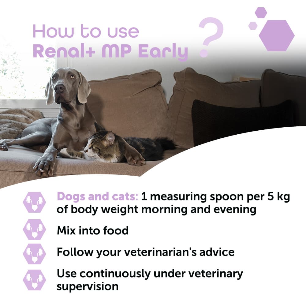Renal+® MP Early