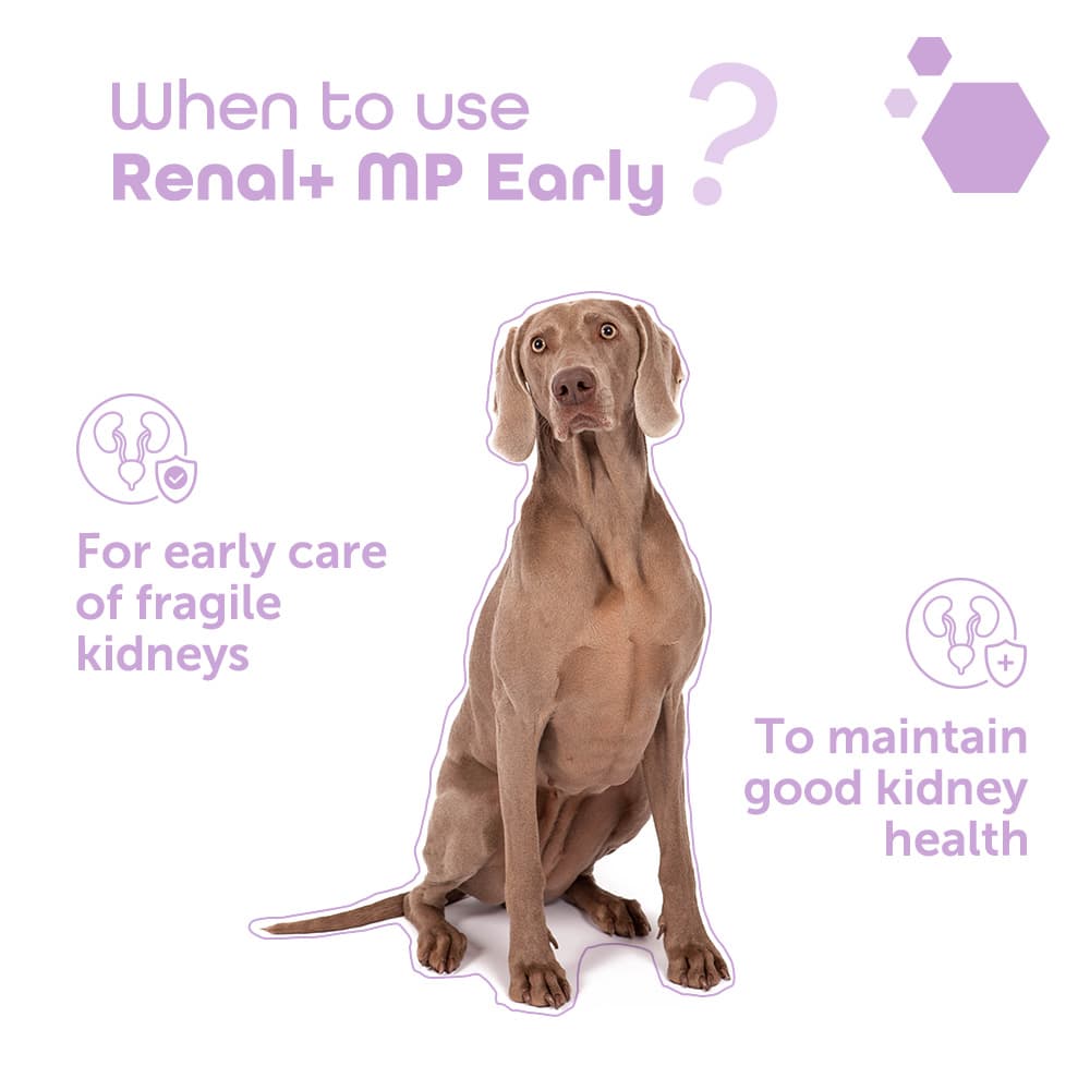 Renal+® MP Early