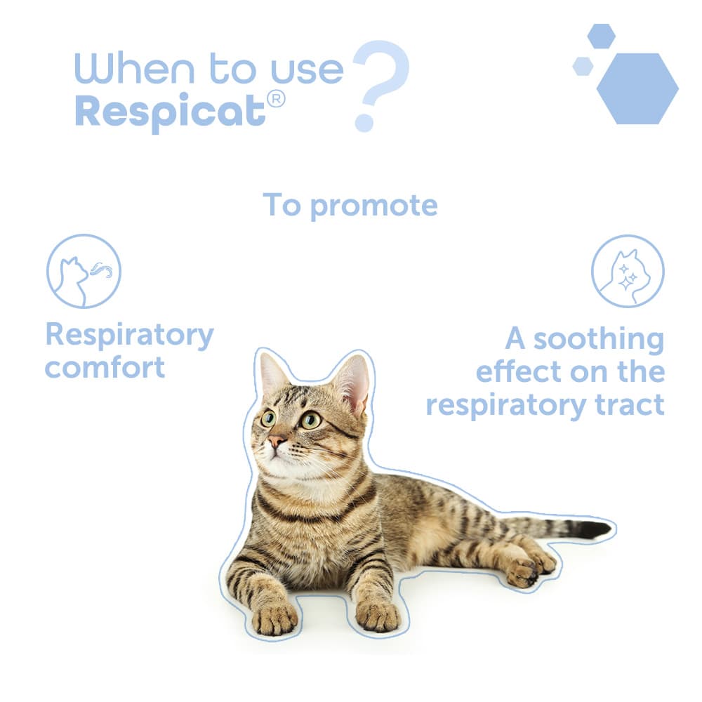 Respicat®