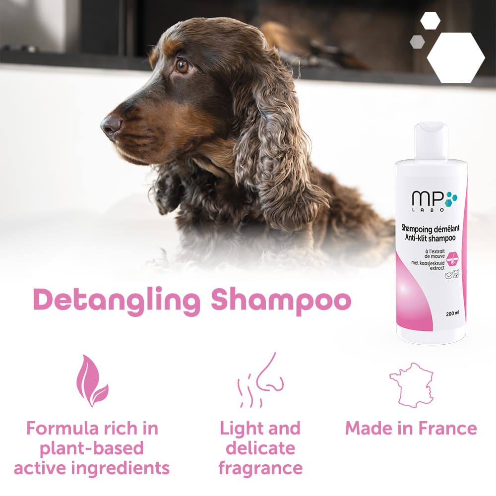 Detangling shampoo®