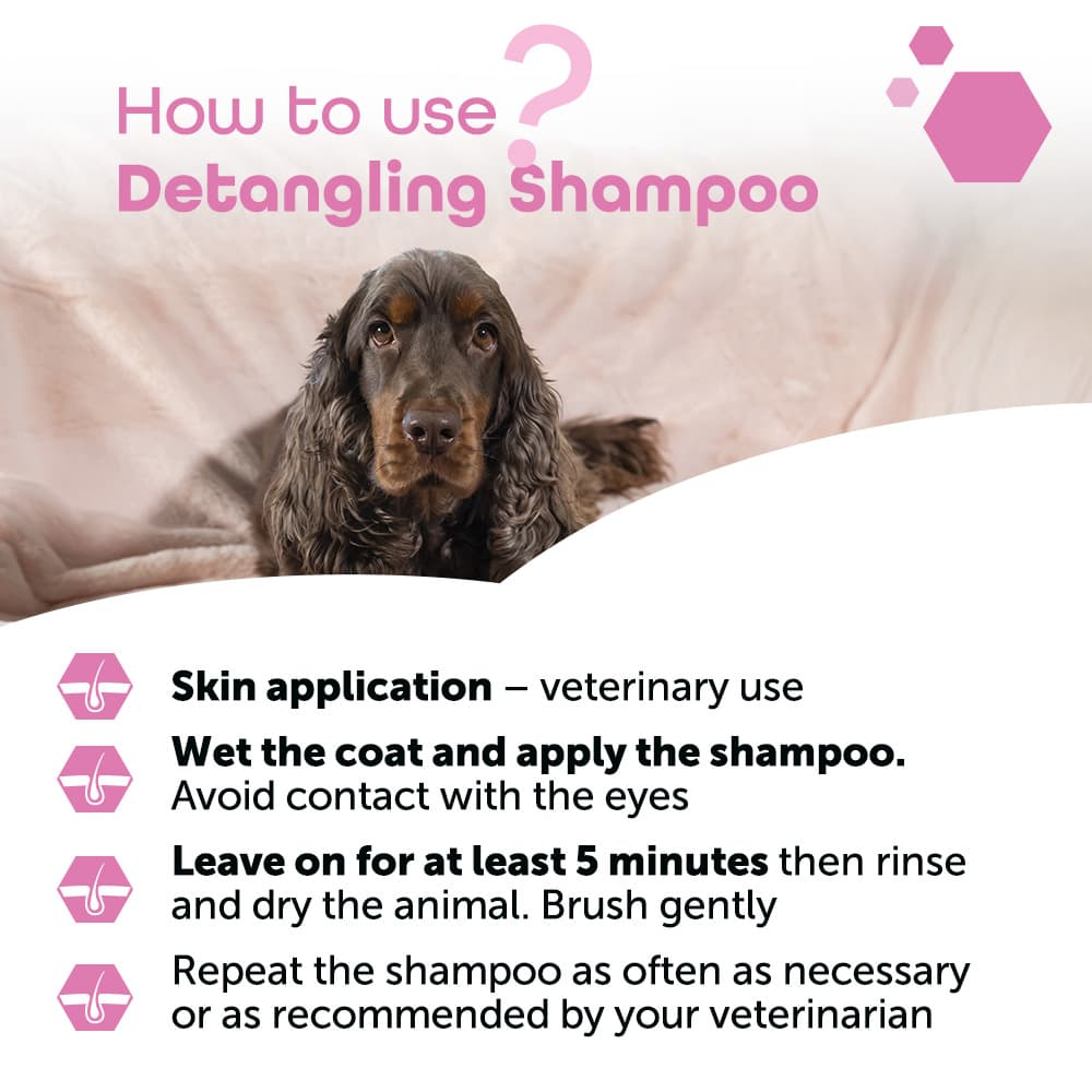Detangling shampoo®