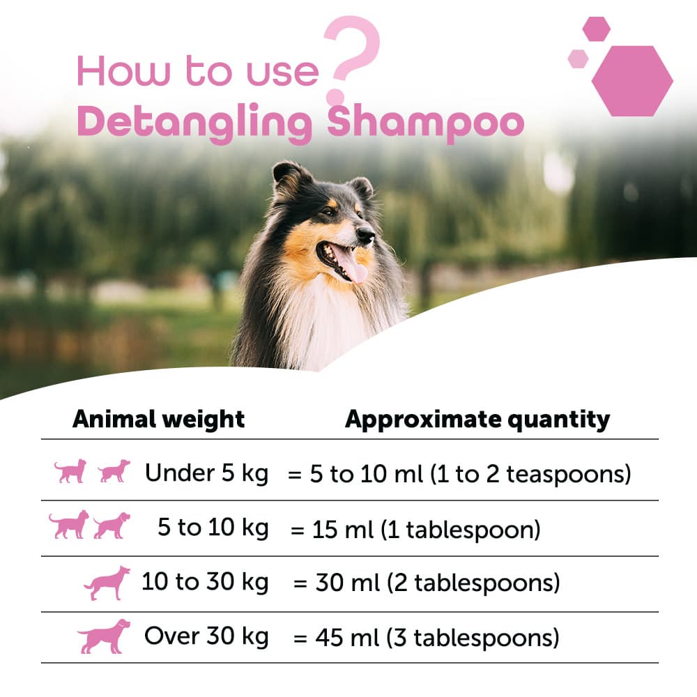 Detangling shampoo®