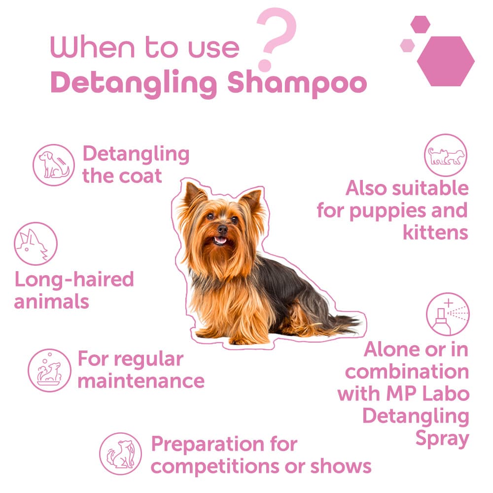 Detangling shampoo®