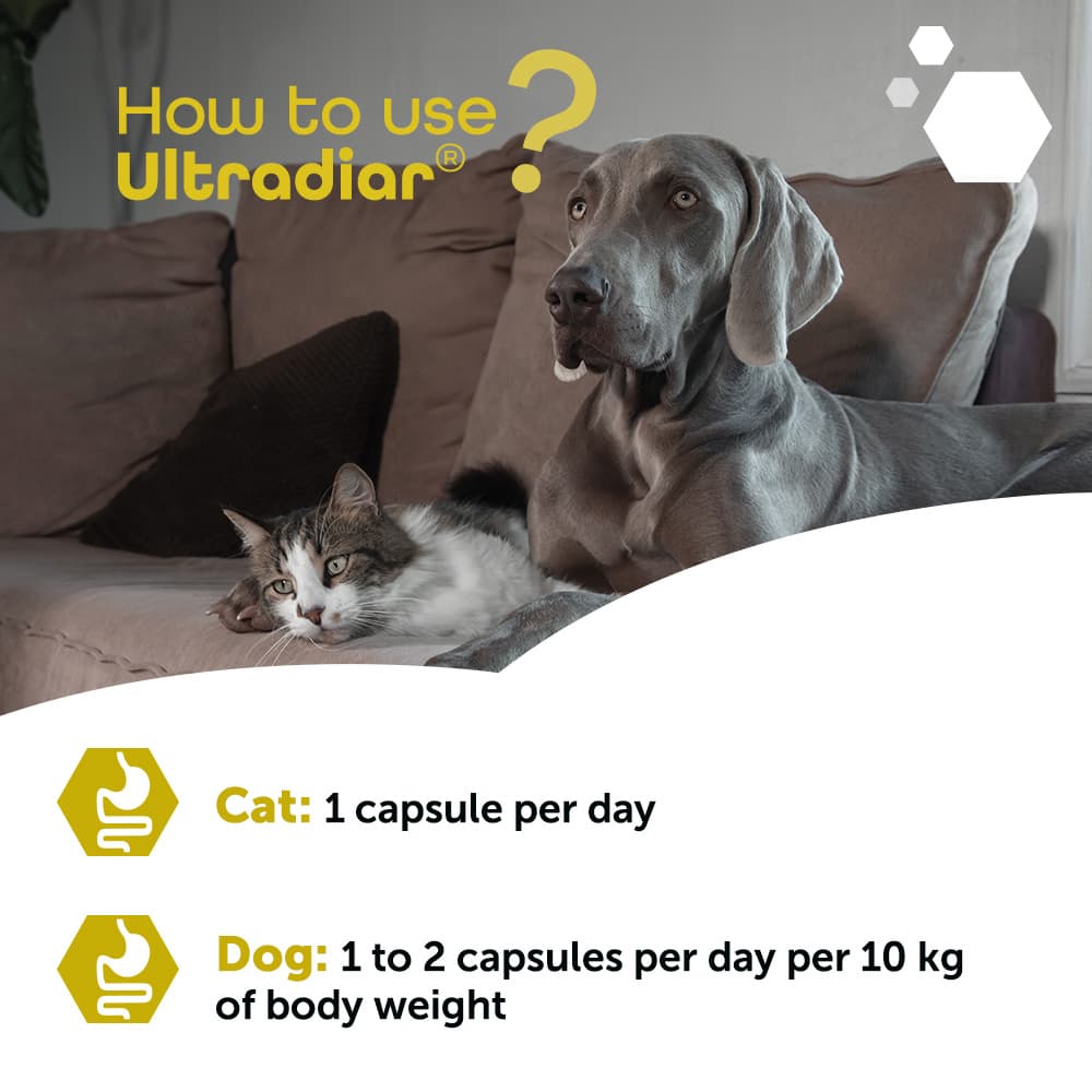 Ultradiar®