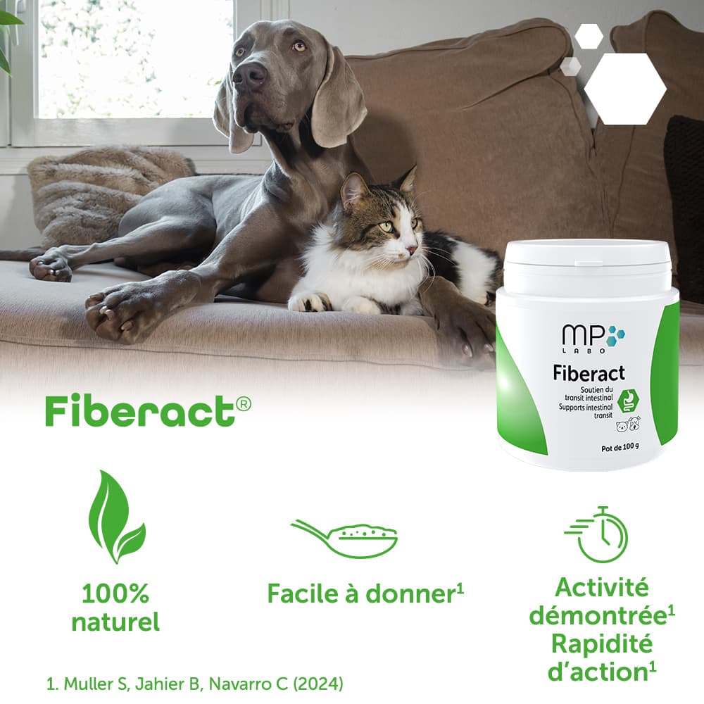 Fiberact®