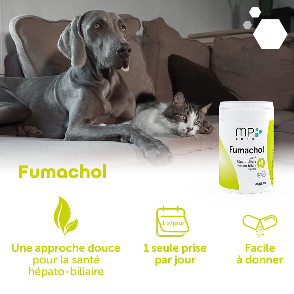 Fumachol®
