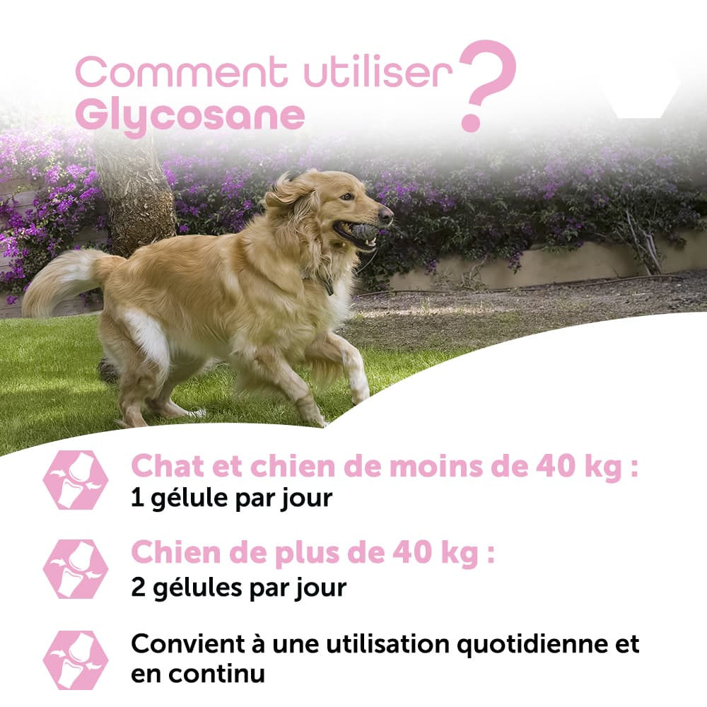 Glycosane®