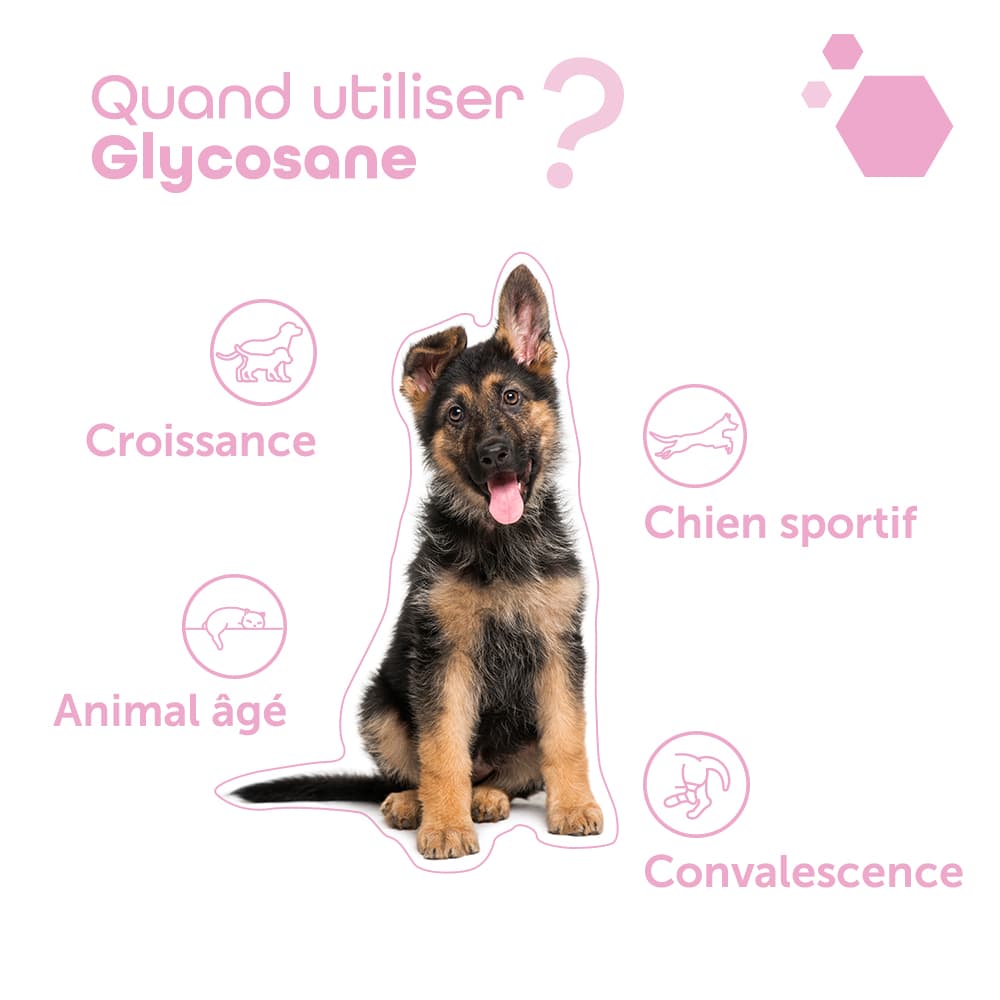 Glycosane®