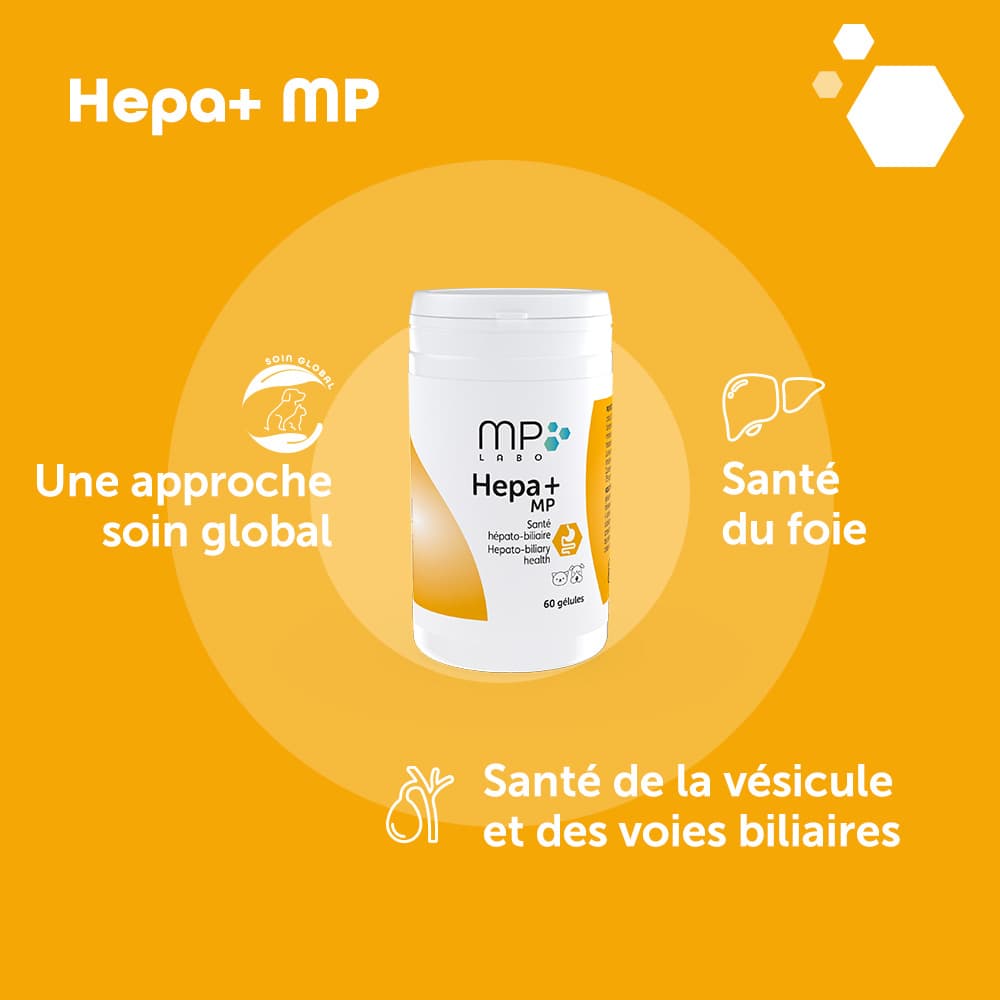 Hepa+® MP