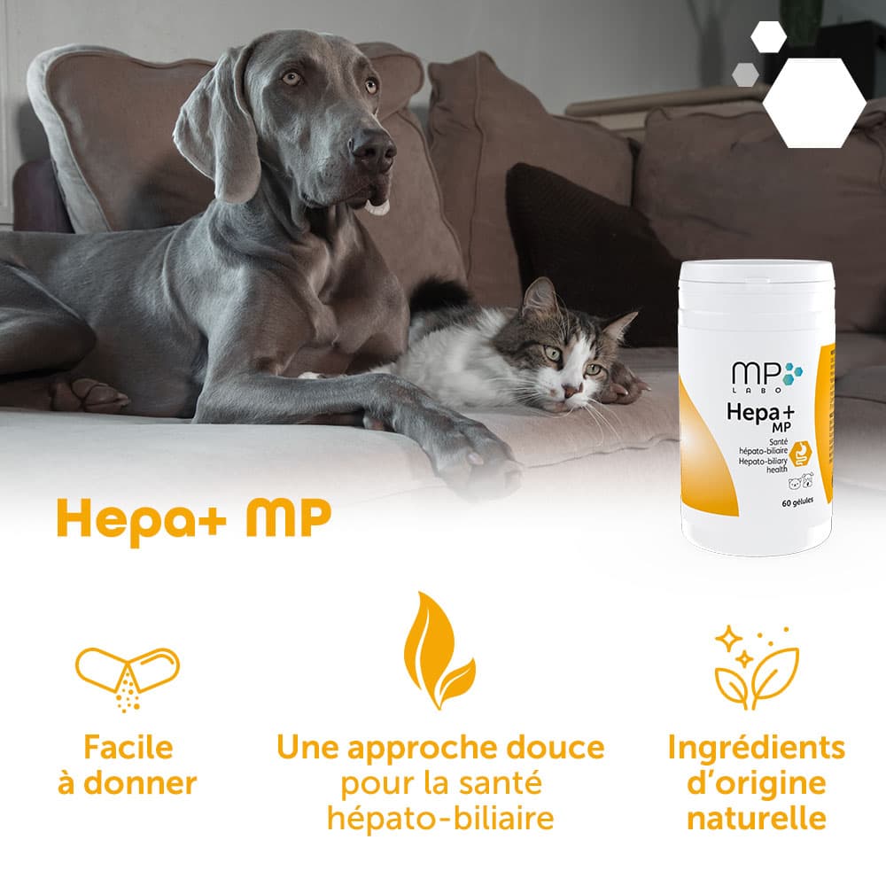 Hepa+® MP