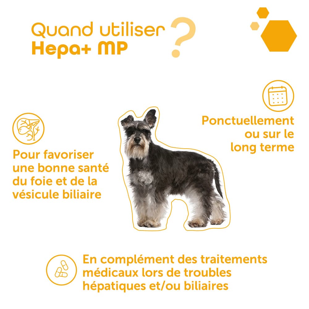 Hepa+® MP