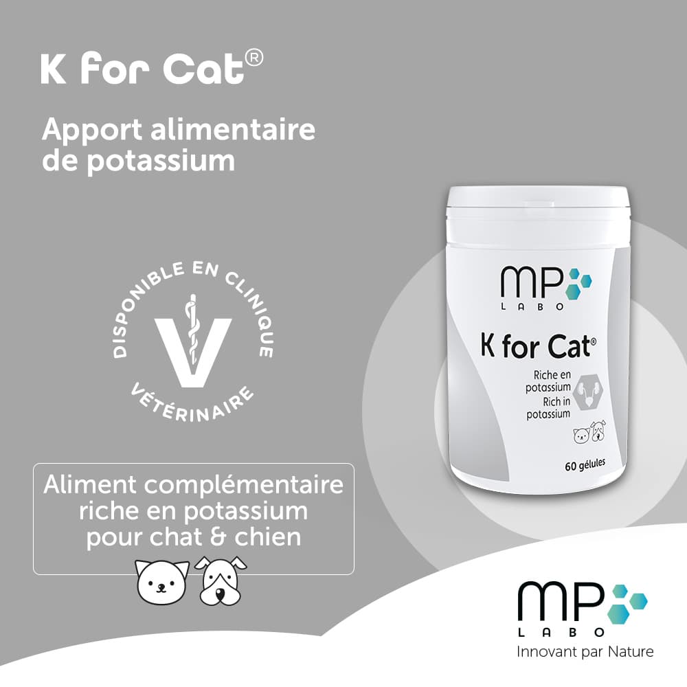 K for Cat®