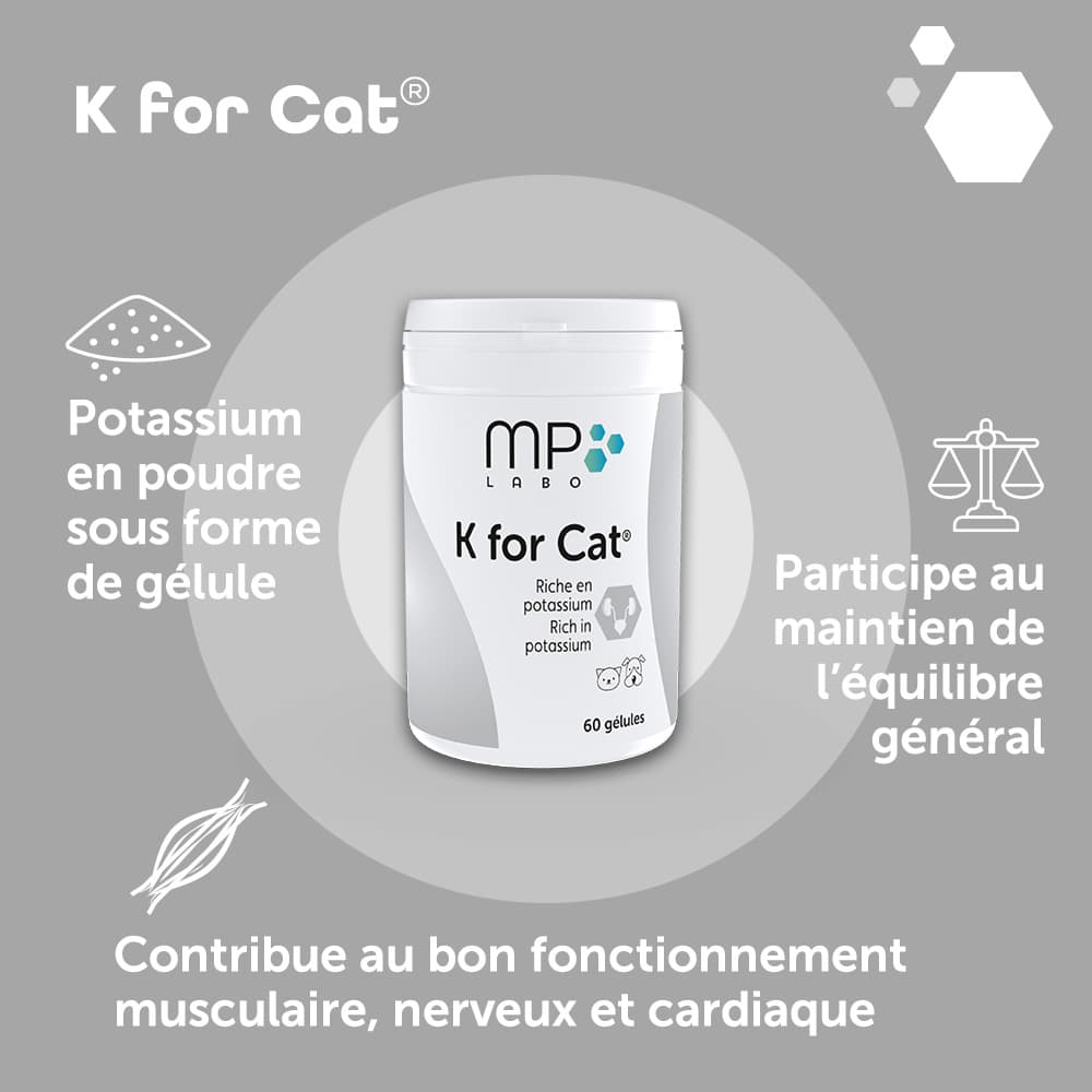 K for Cat®