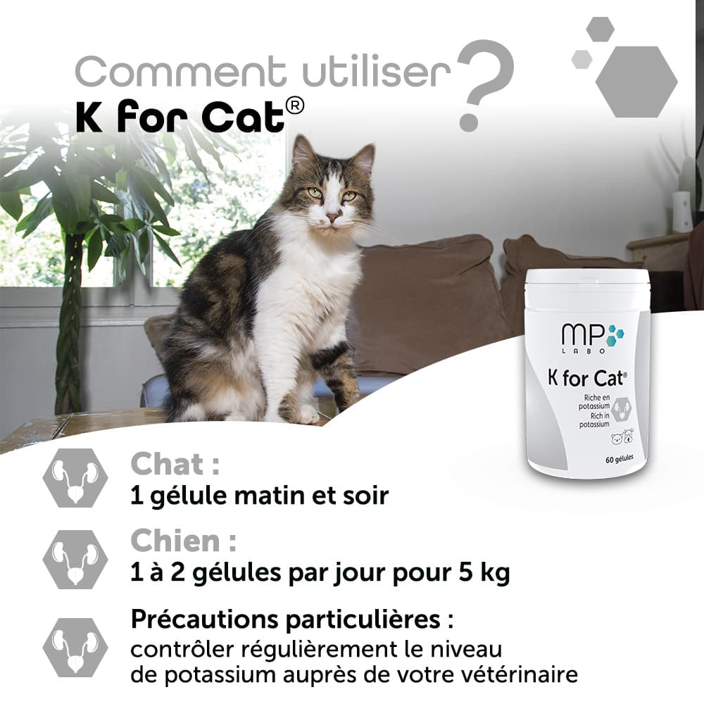 K for Cat®