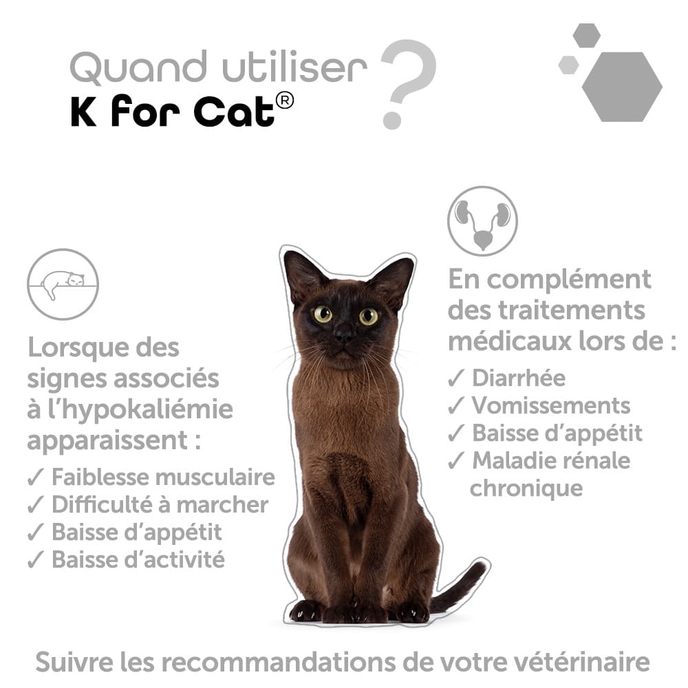 K for Cat®