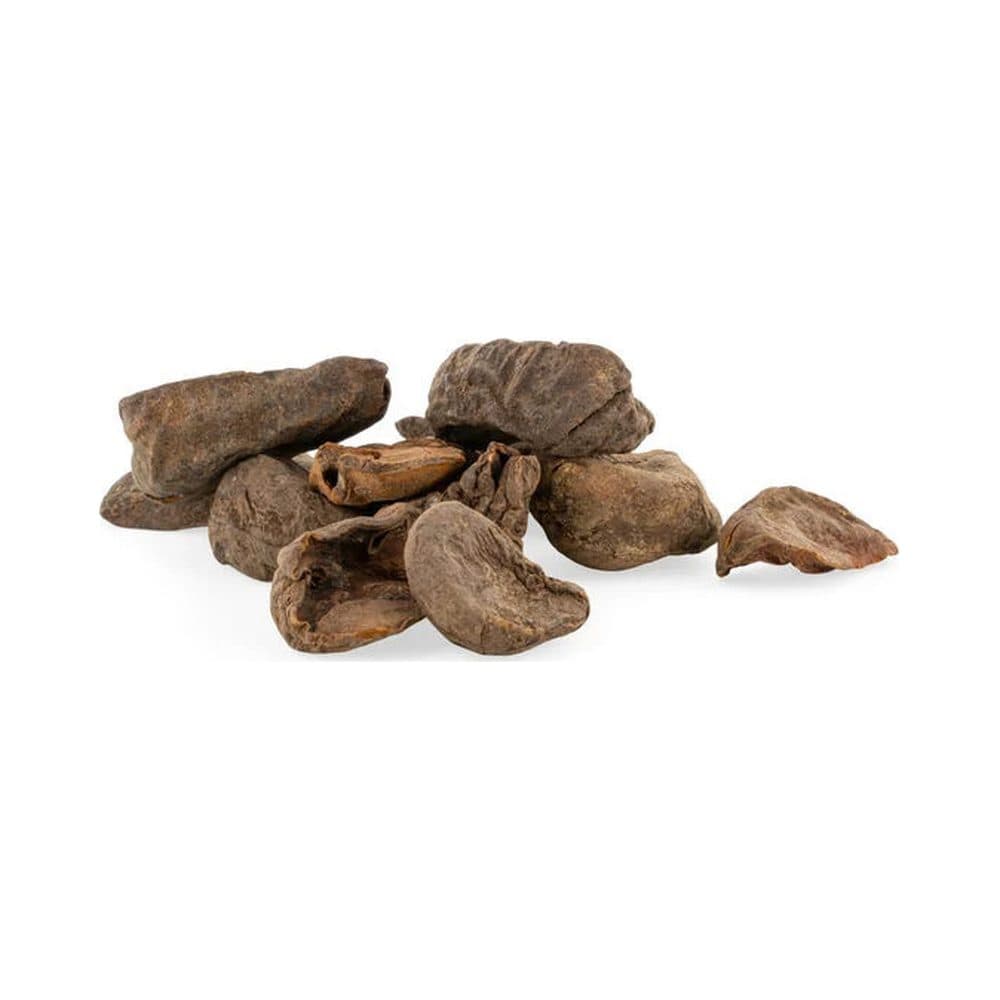 Kolanoot (Cola nitida)