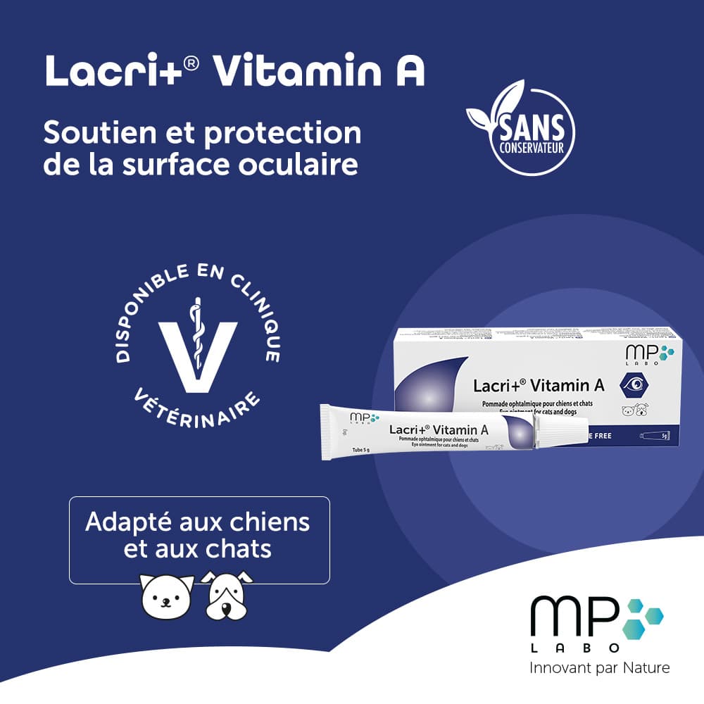 Lacri+® Vitamin A