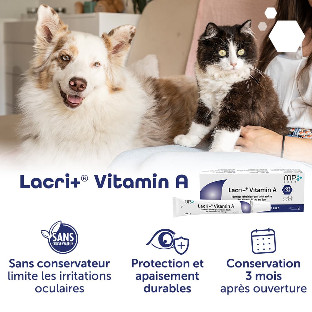 Lacri+® Vitamin A