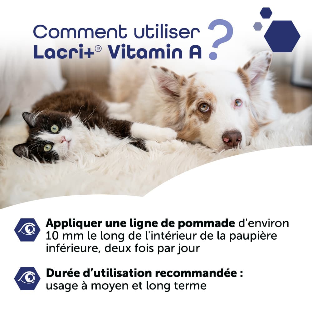 Lacri+® Vitamin A