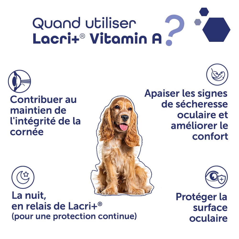 Lacri+® Vitamin A