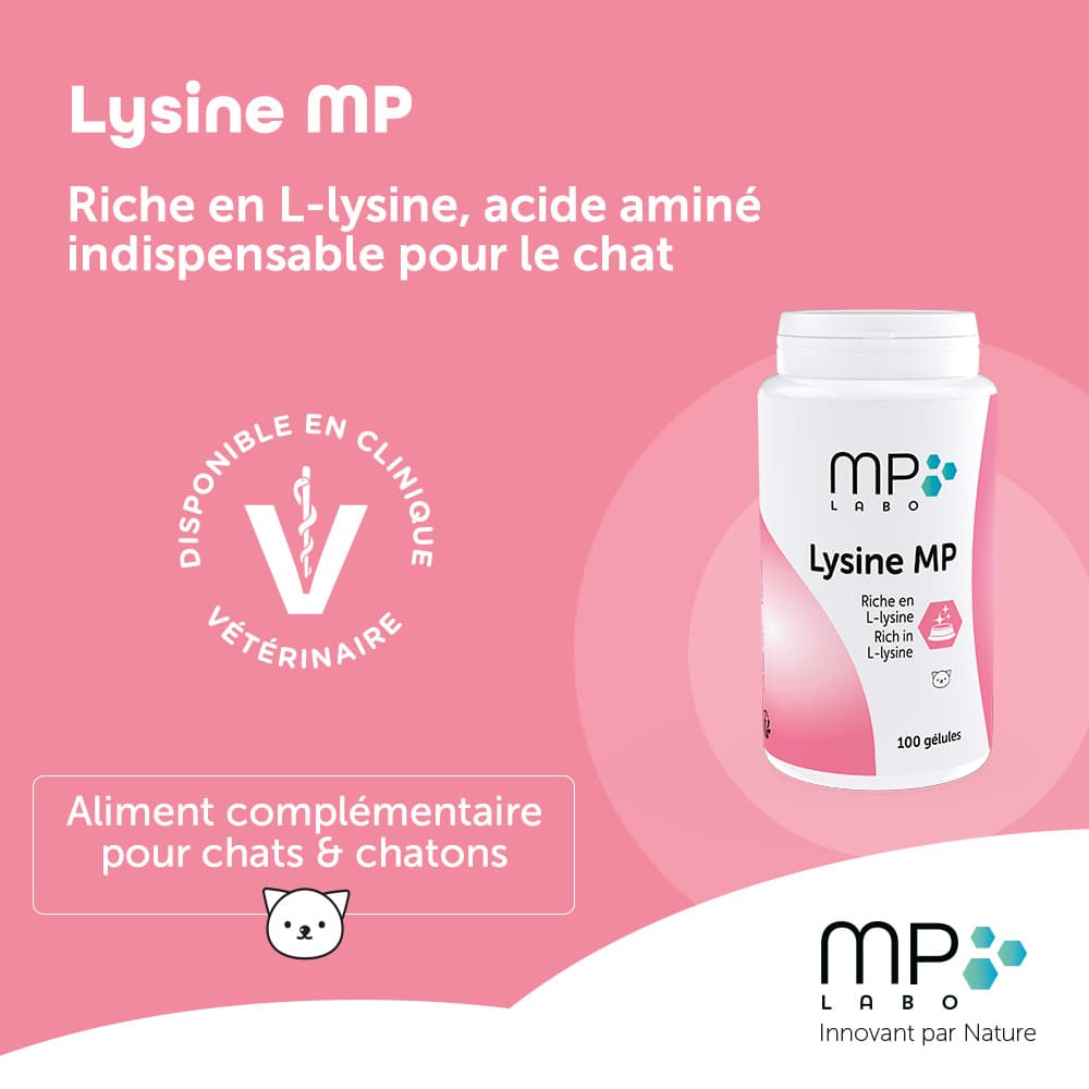 Lysine® MP