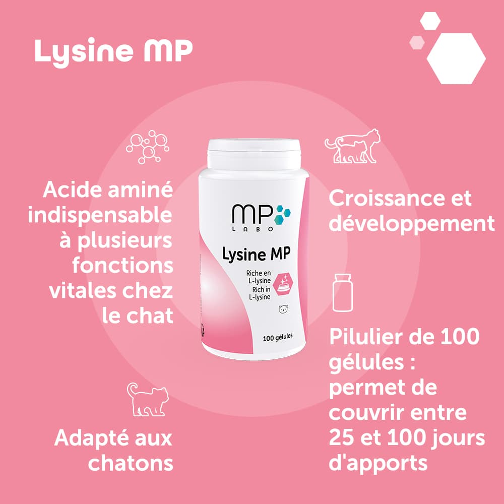 Lysine® MP
