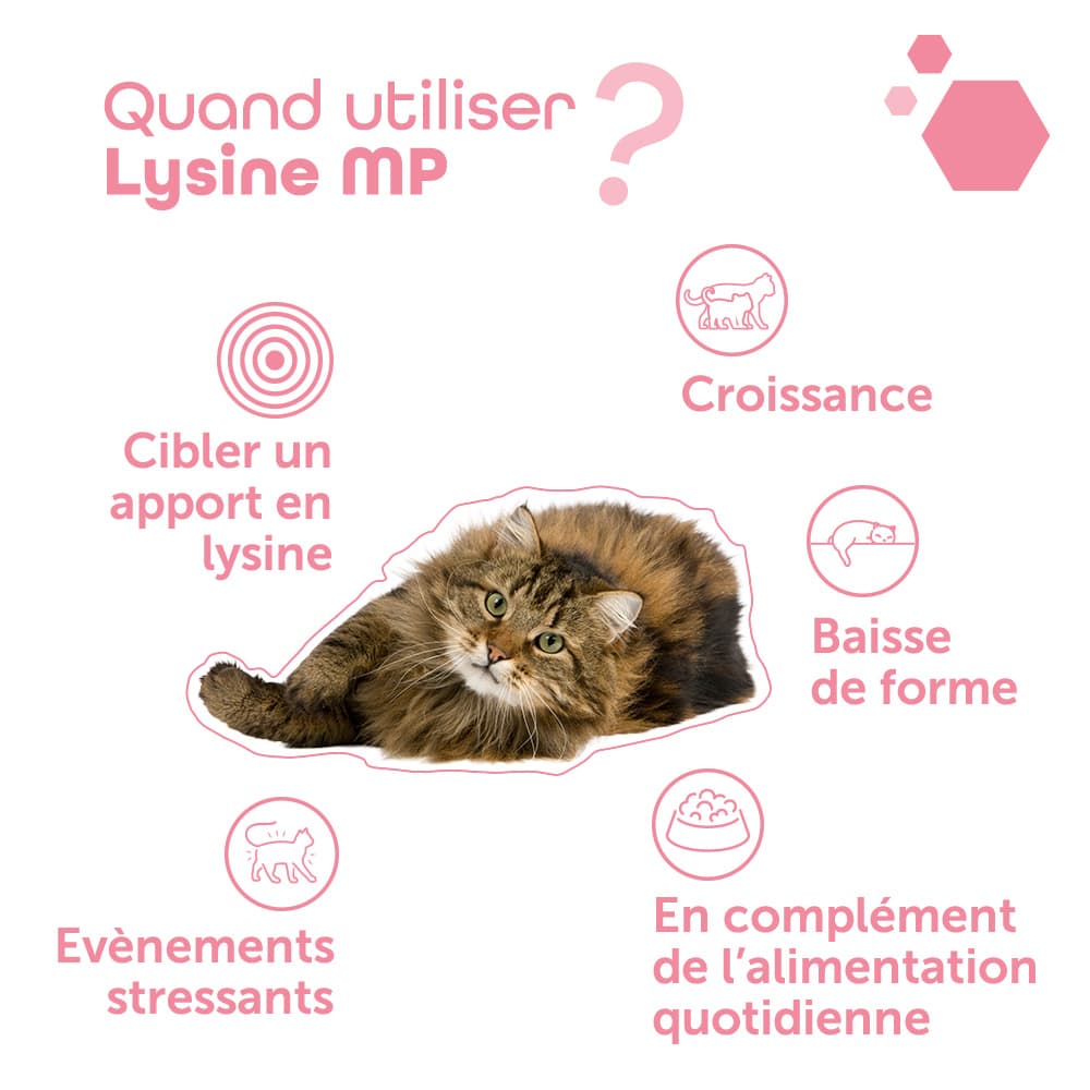 Lysine® MP