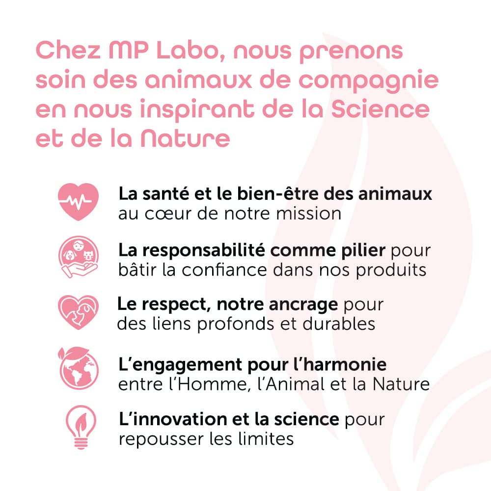 Lysine® MP