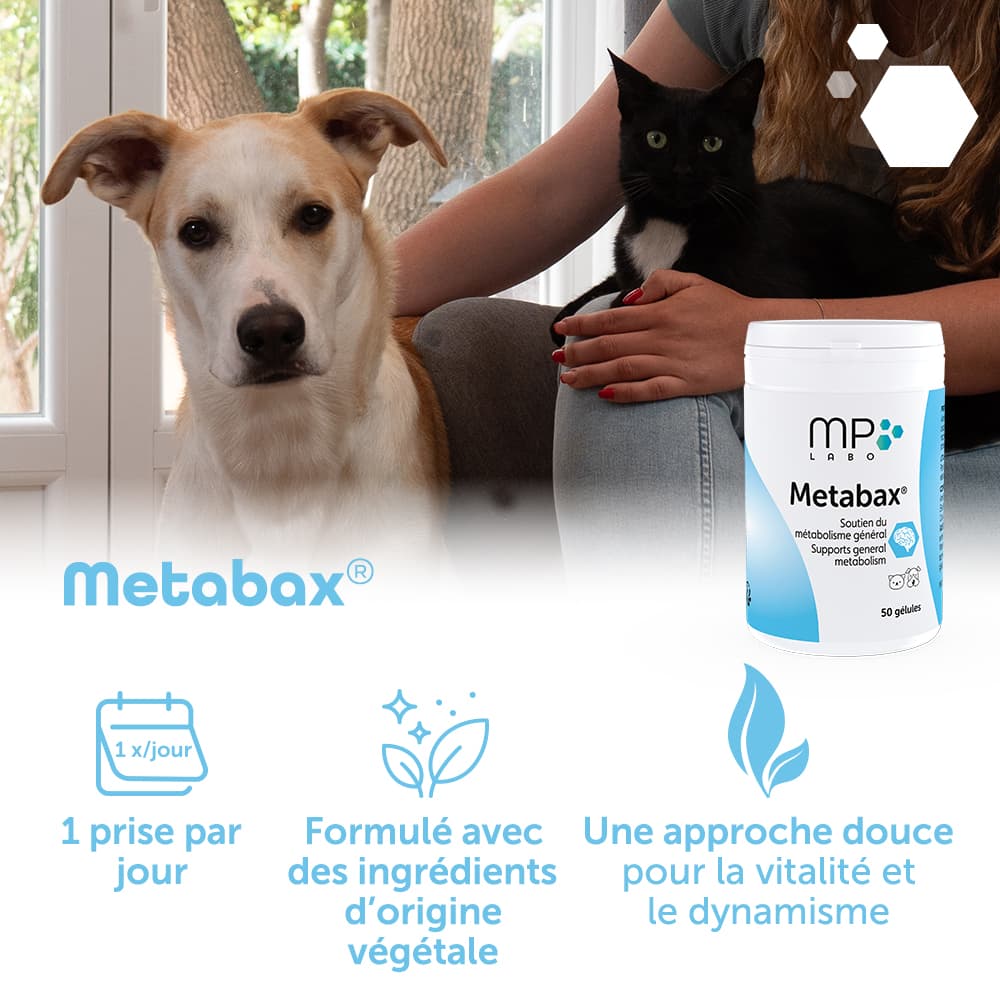 Metabax®
