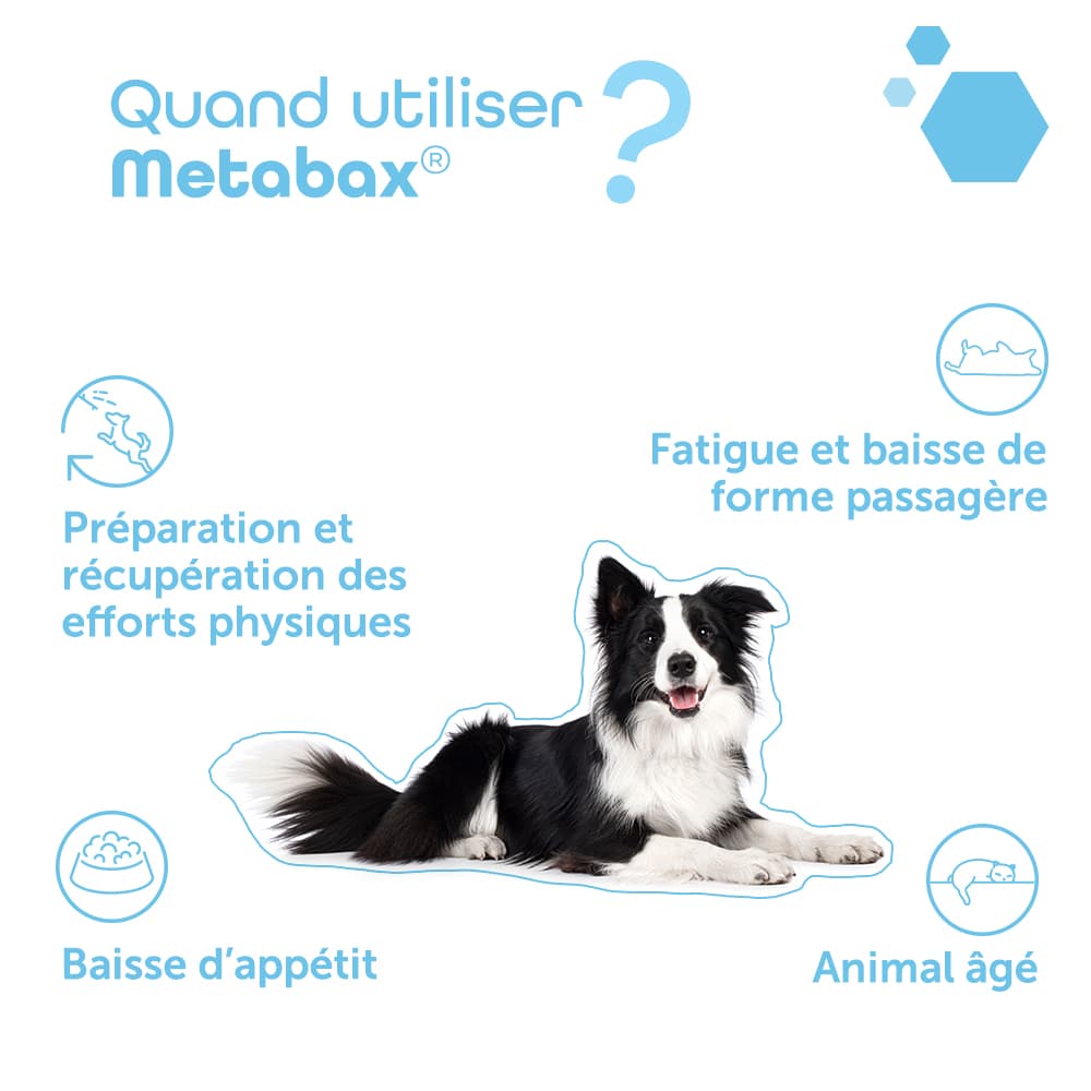 Metabax®