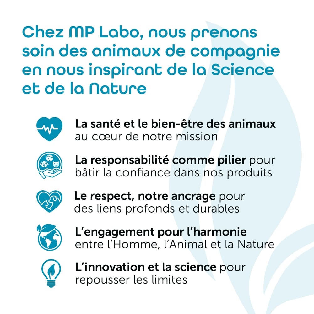 Physiovet® Mousse