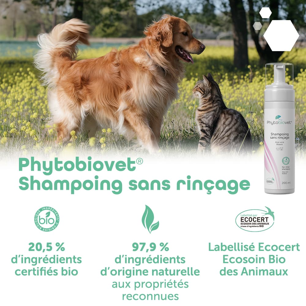 Phytobiovet® Shampoing sans rinçage
