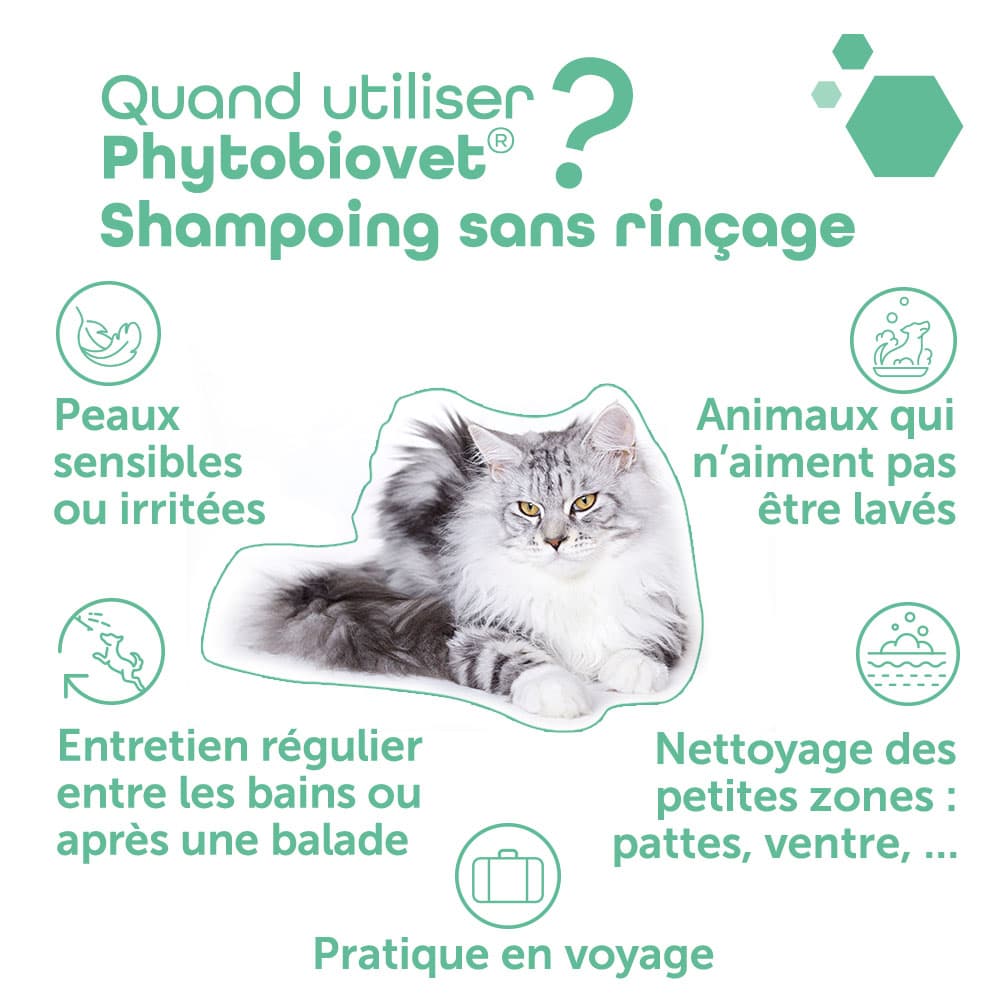 Phytobiovet® Shampoing sans rinçage