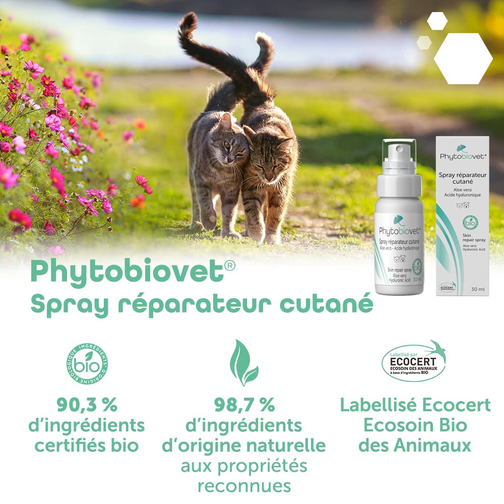 Phytobiovet® Spray réparateur cutané