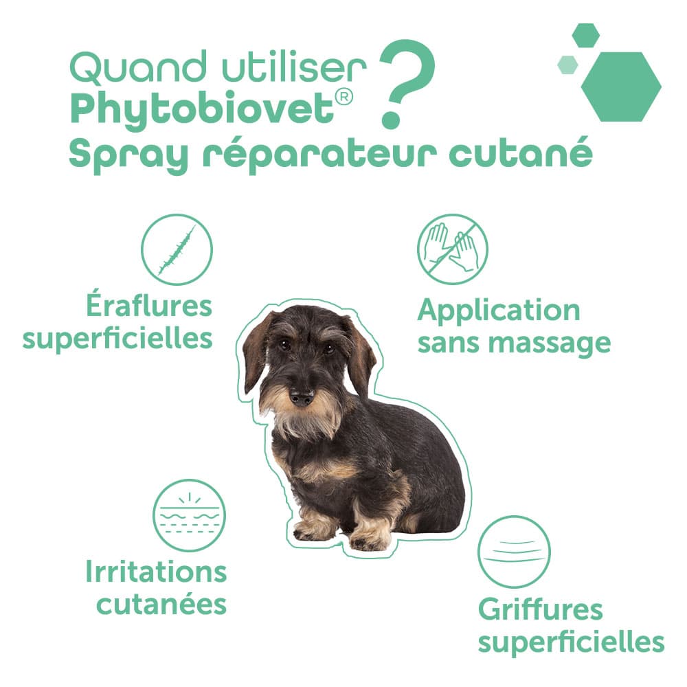 Phytobiovet® Spray réparateur cutané