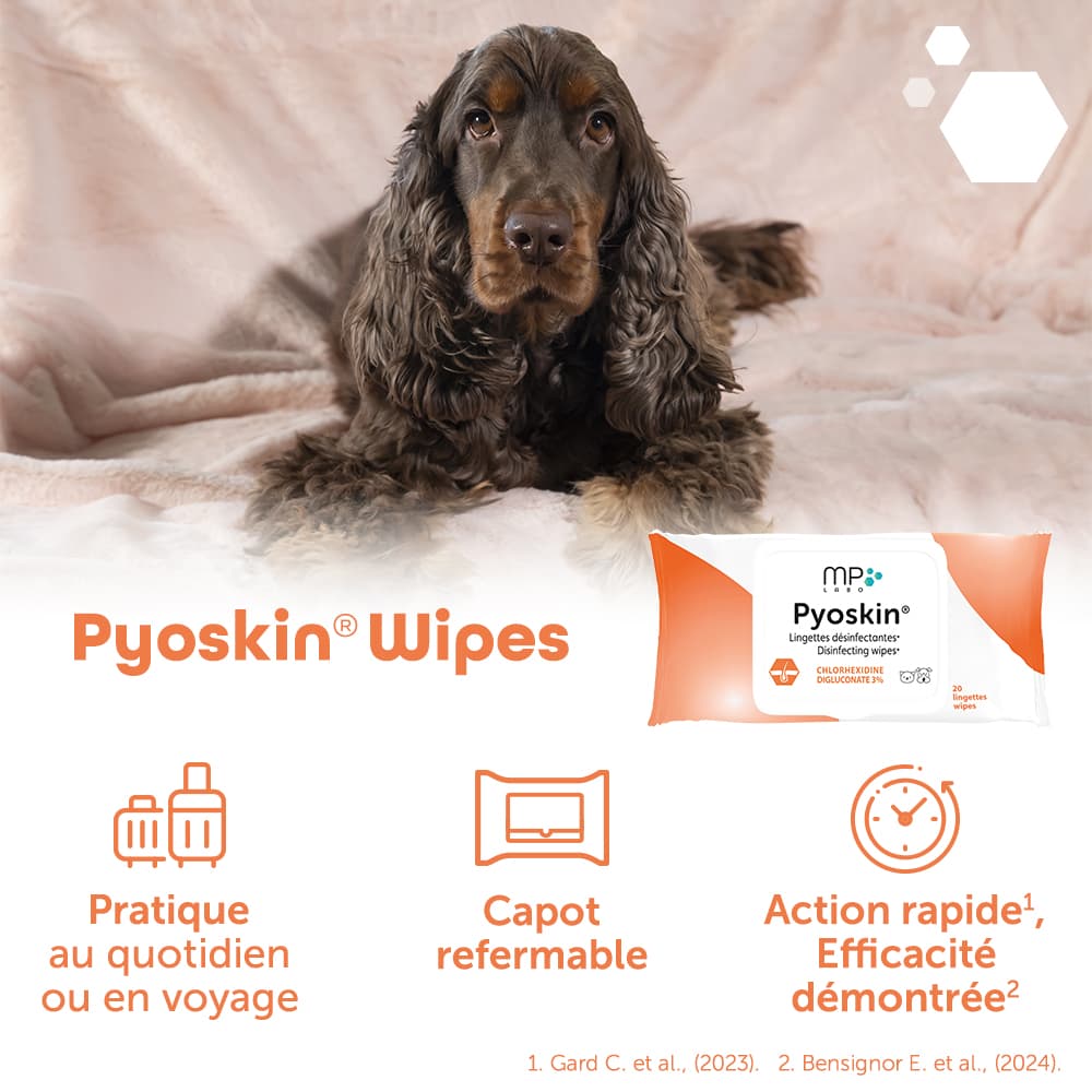 Pyoskin® Wipes