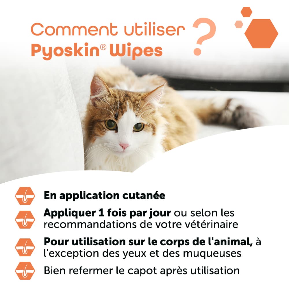 Pyoskin® Wipes