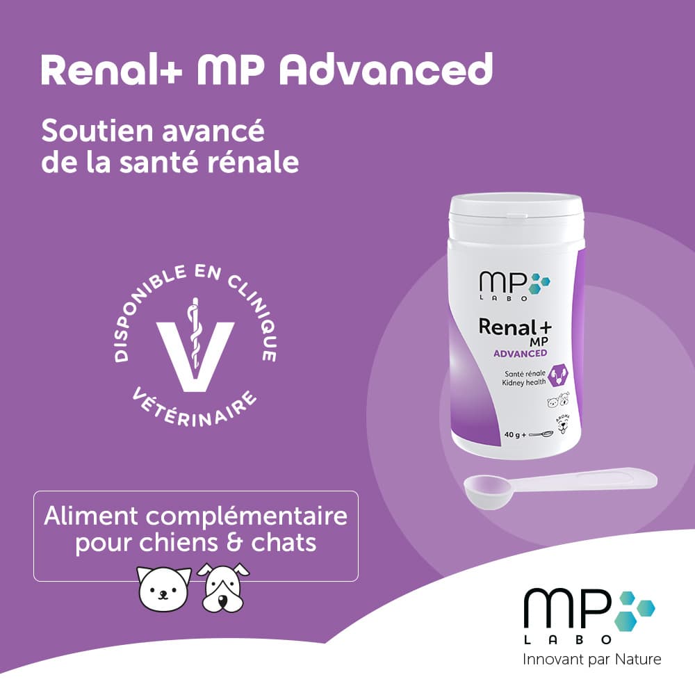 Renal+® MP Advanced