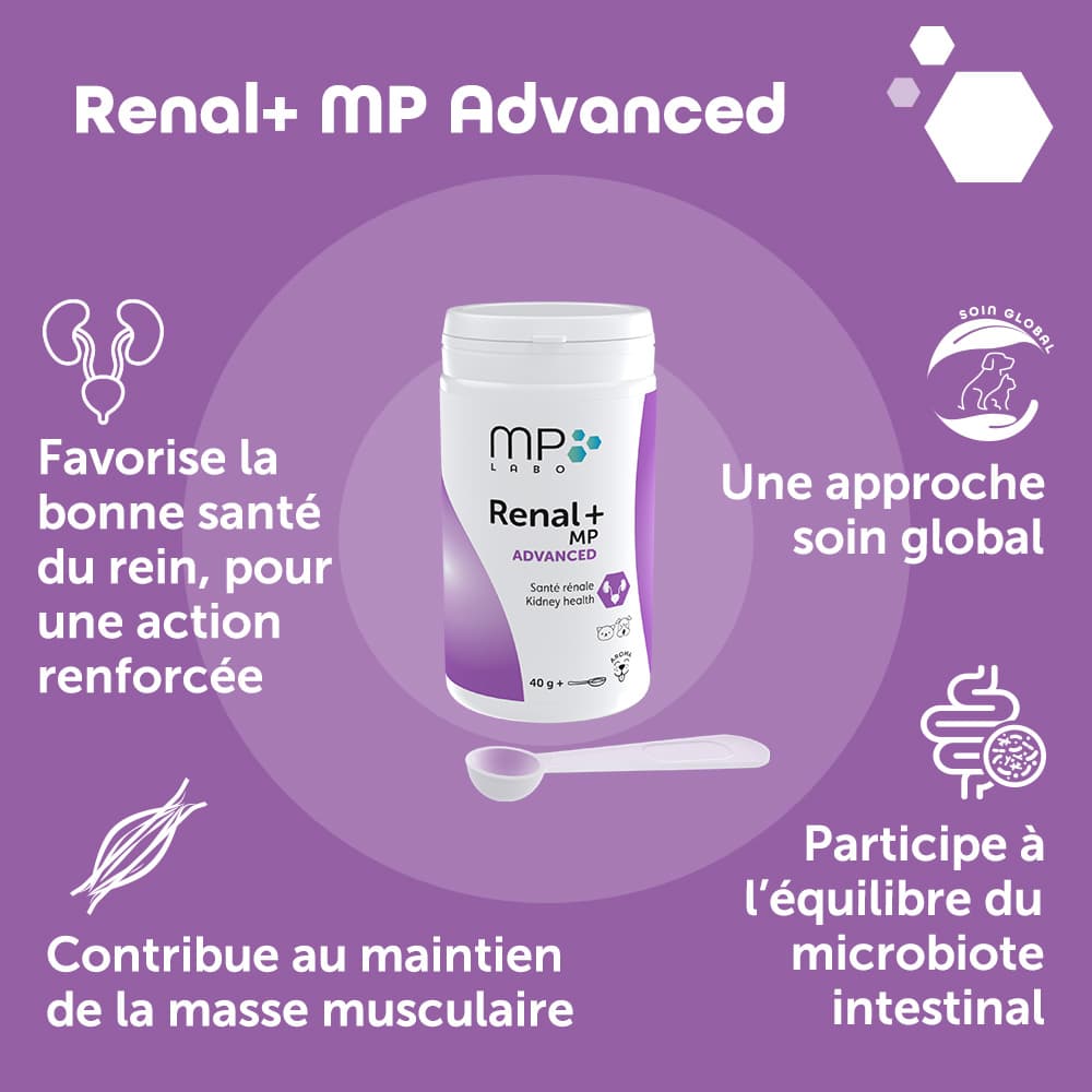 Renal+® MP Advanced