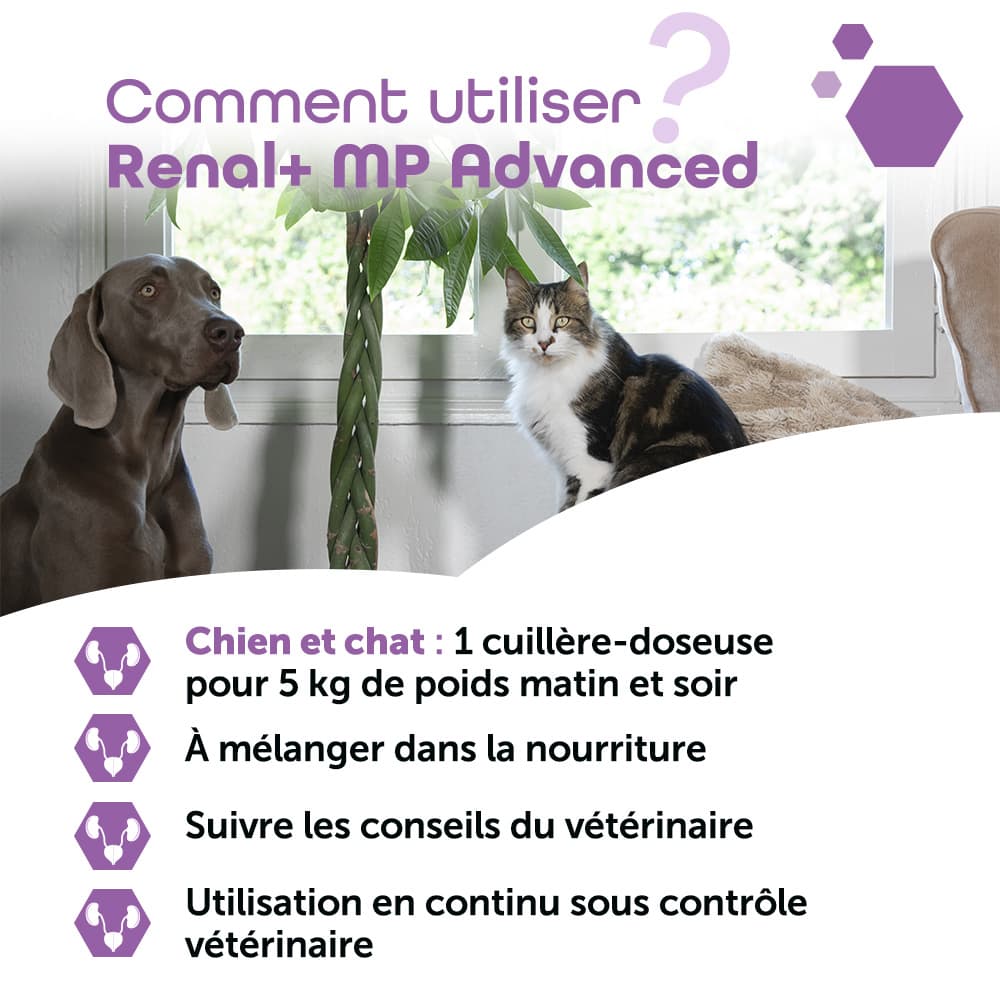 Renal+® MP Advanced