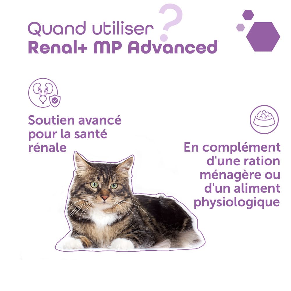 Renal+® MP Advanced