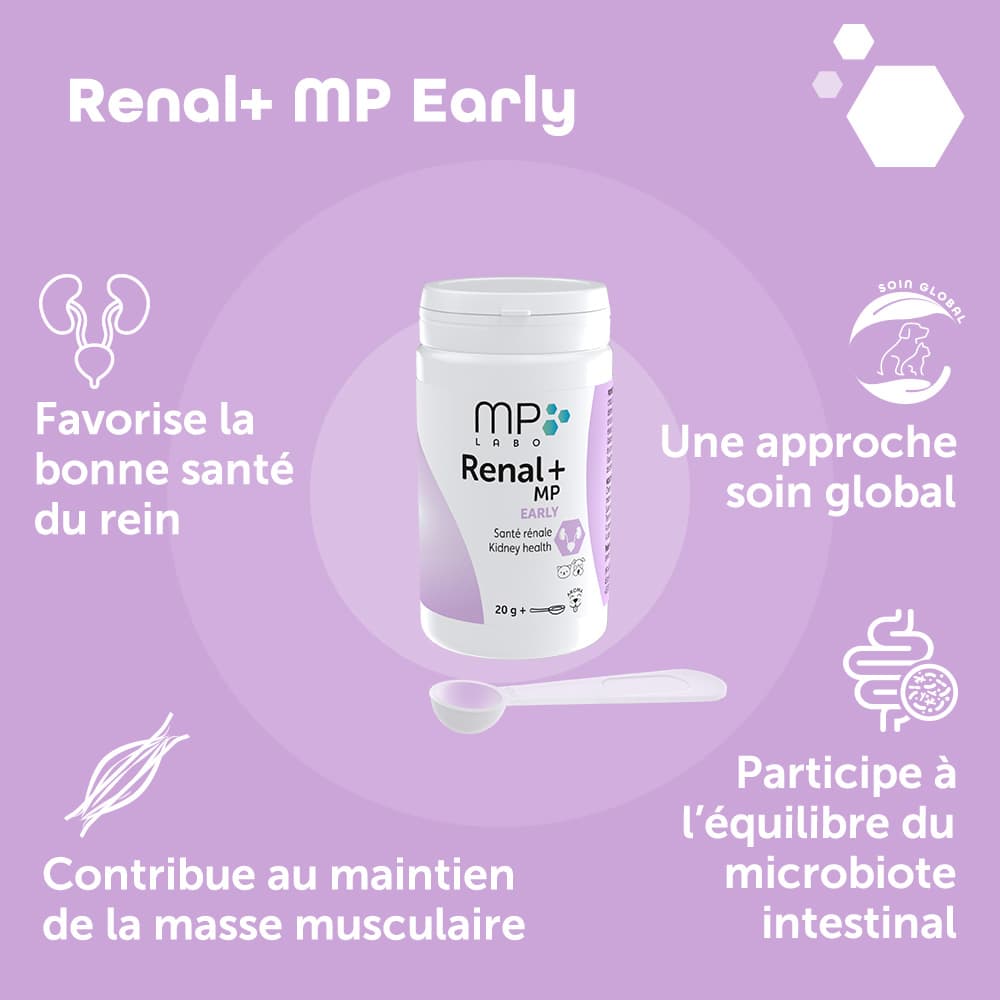 Renal+® MP Early