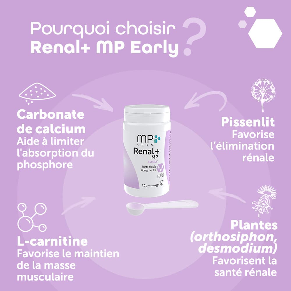 Renal+® MP Early