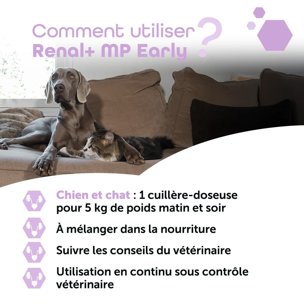 Renal+® MP Early