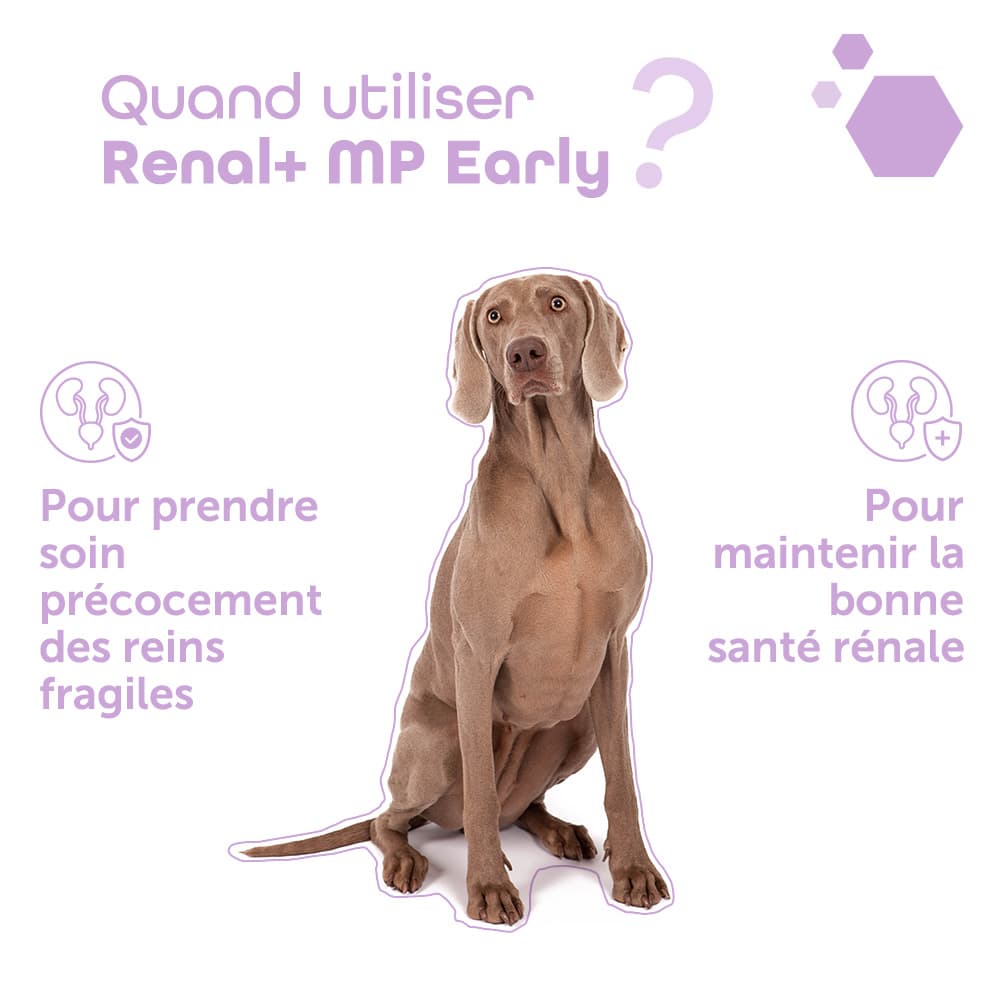 Renal+® MP Early