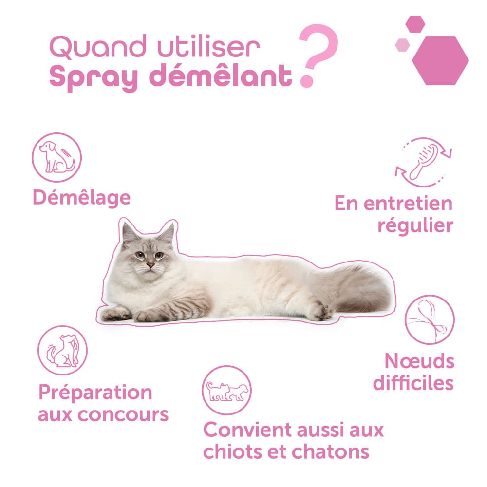 Spray Démêlant®